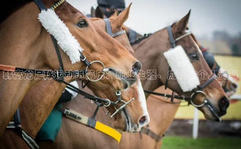 沐鸣2注册首页百度营销中心